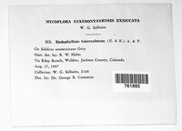 Image Associated With the Occurence